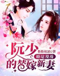 婚途漫漫:阮少的替嫁新妻