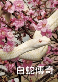 ���ߴ���