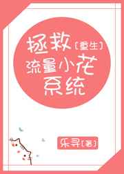 ��������С��ϵͳ[����]