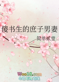 傻书生的庶子男妻(穿越)