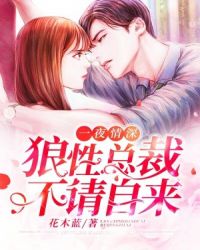 һҹ��������ܲã���������