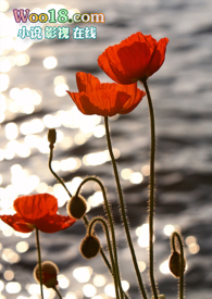 ��ڻ���(NPH)