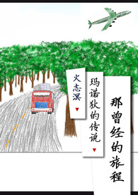 ���������ó�