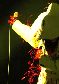 �ܷ�ۣ�1V1��