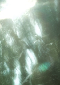 疼痛免疫(兄妹骨科1v1)